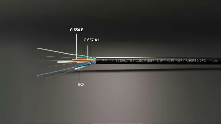 STL redefines Optical Connectivity with India's first Hollow Core Fibre cable for Data Centre networks