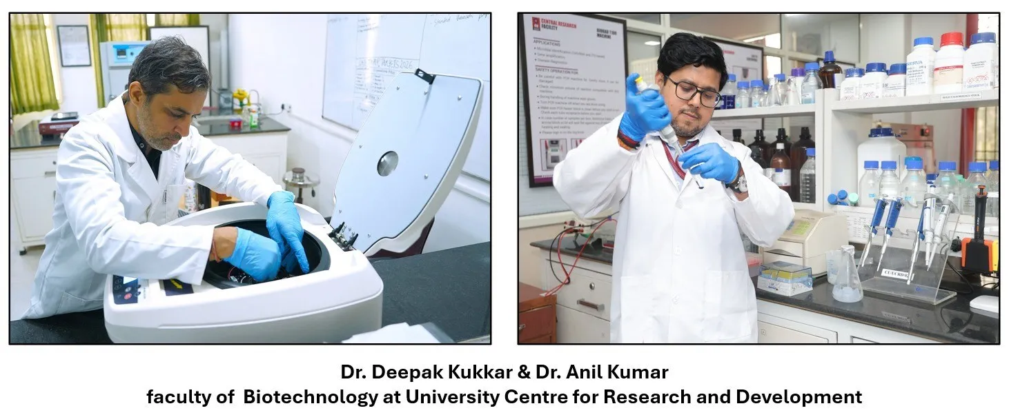Chandigarh University Biotechnology Scientists Faculty Secure Rs 1.16 Crore Government Grants from ICMR and ANRF for Mustard Yield and Diabetic Kidney Disease Research