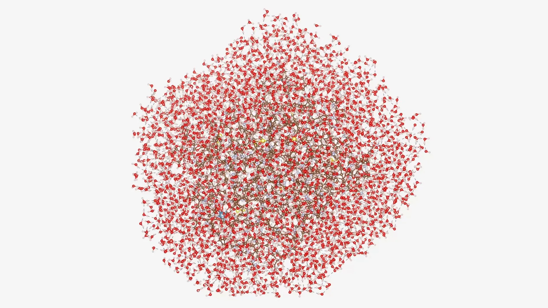 Cleveland Clinic, RIKEN, and IBM Model a 12,635-Atom Protein - the Largest Known to Be Simulated with Quantum Computers