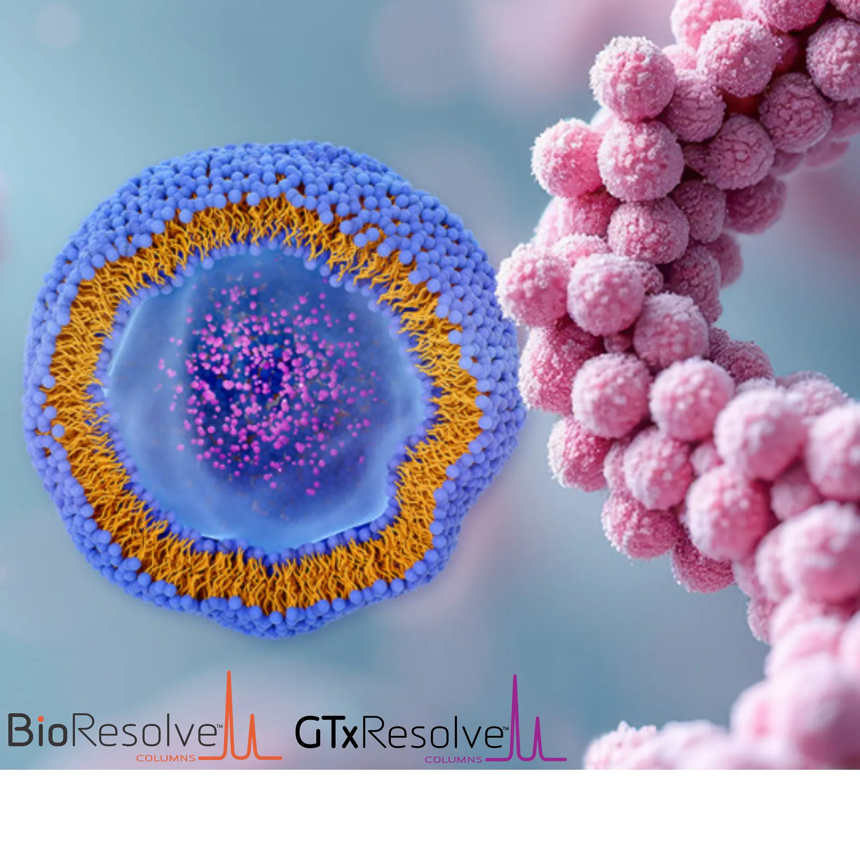 Waters Launches Industry-First Reversed-Phase Bioseparation Columns to Deliver Up to 3x Faster GLP-1 Characterization and 2x Faster LNP Component Analysis
