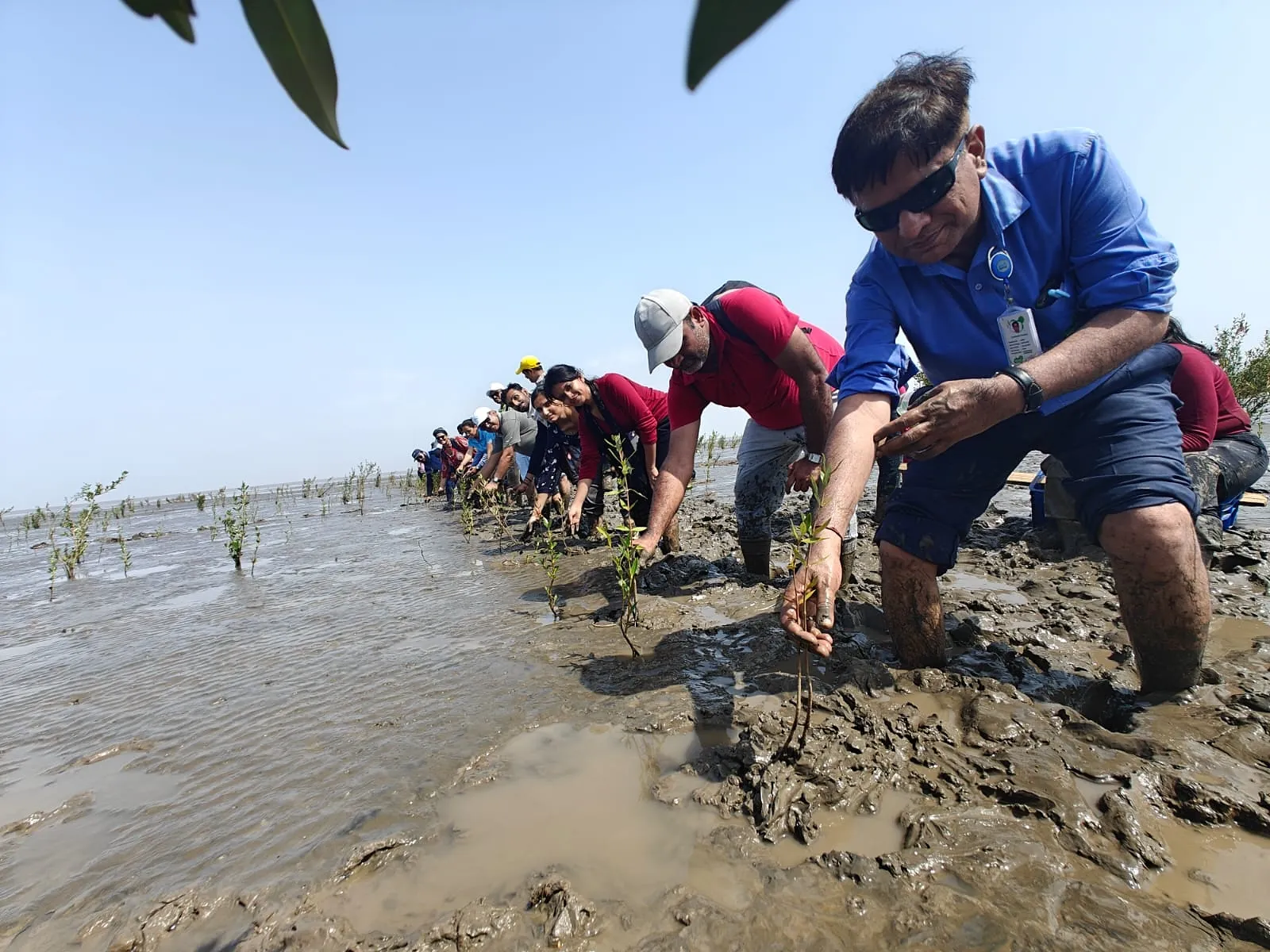 Deepak Group Goes Beyond Green with hands-On Mangrove Restoration