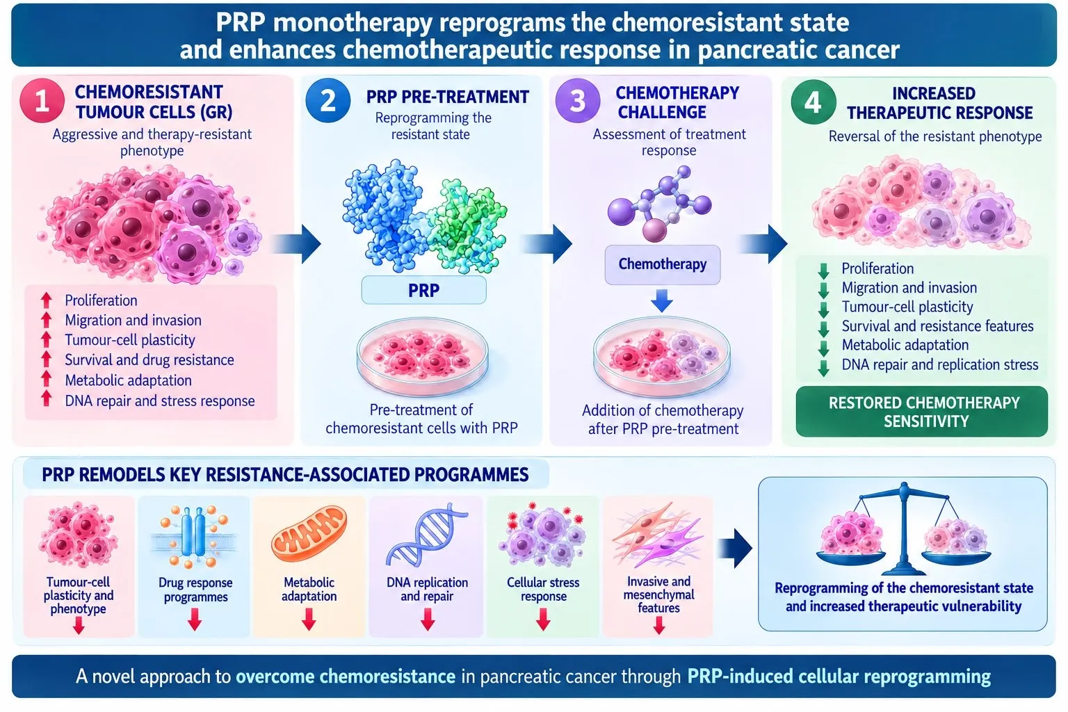 Propanc Biopharma’s Lead Asset PRP Reprograms Chemotherapy-Resistant Pancreatic Cancer Cells